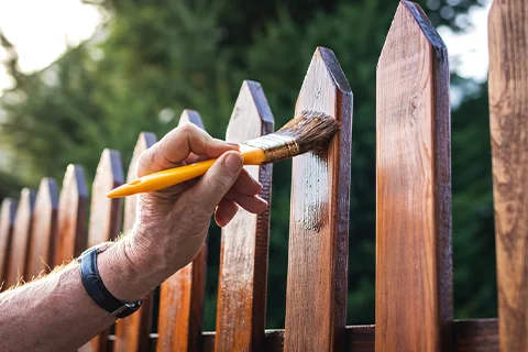 Fence Painting-Staining 1