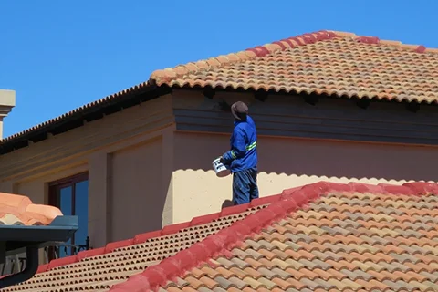 Roof Painting 2